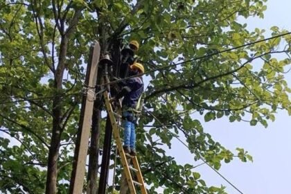 Cyclone Montha causes rain and strong winds in southern Odisha, damaging power lines and affecting TPSODL’s electricity distribution network.