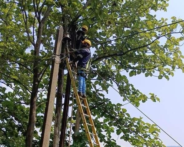 Cyclone Montha causes rain and strong winds in southern Odisha, damaging power lines and affecting TPSODL’s electricity distribution network.