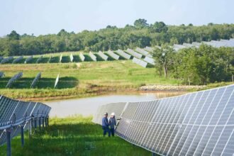 RWE commissions 200 MW Stoneridge Solar and 100 MW battery storage project in Milam County, Texas