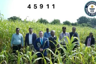 Maharashtra achieves Guinness World Record with 45,911 solar water pump installations under Magel Tyala Solar Pump scheme