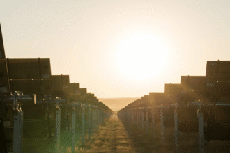 Ingka Investments 210 MWp solar project launched in Bikaner, Rajasthan