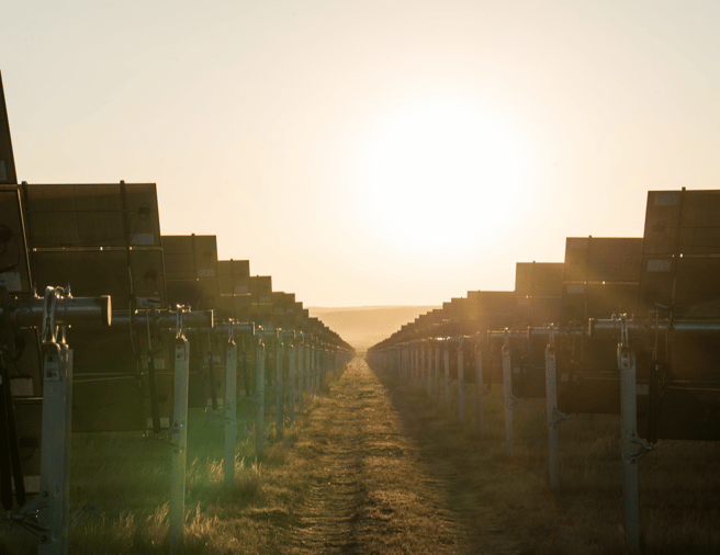 Ingka Investments 210 MWp solar project launched in Bikaner, Rajasthan