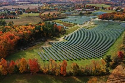 PureSky Energy Brings Two New Community Solar Farms Online for LMI Households in New York