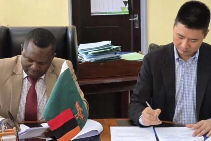 Chinese Firms LONGi Solar, Sino Green Partner with Zambia for 1 GW Solar Projects