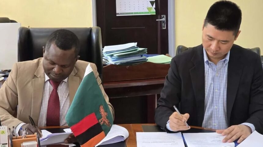 Chinese Firms LONGi Solar, Sino Green Partner with Zambia for 1 GW Solar Projects