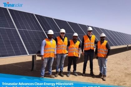 Trinasolar Partners ACWA Power for 2GW Saudi Solar Projects