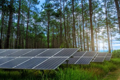 ReNew Sells 100 MW Tamil Nadu Solar Project to Technique Solaire for $49 Million