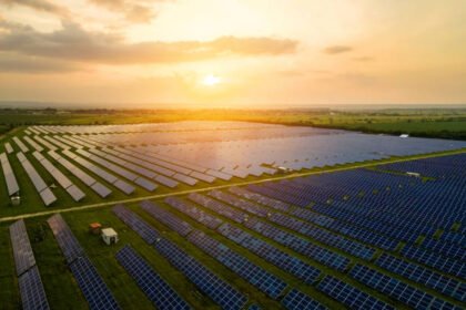 SAEL Industries Commissions 600 MW Solar Projects in Andhra Pradesh