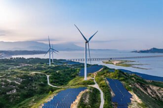 JSW Energy Adds 250 MW Renewable Capacity, Total Installed Capacity Hits 13.7 GW