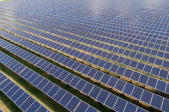 GOLDBECK SOLAR Begins Construction of 268 MWp Schafhöfen Solar Park in Bavaria